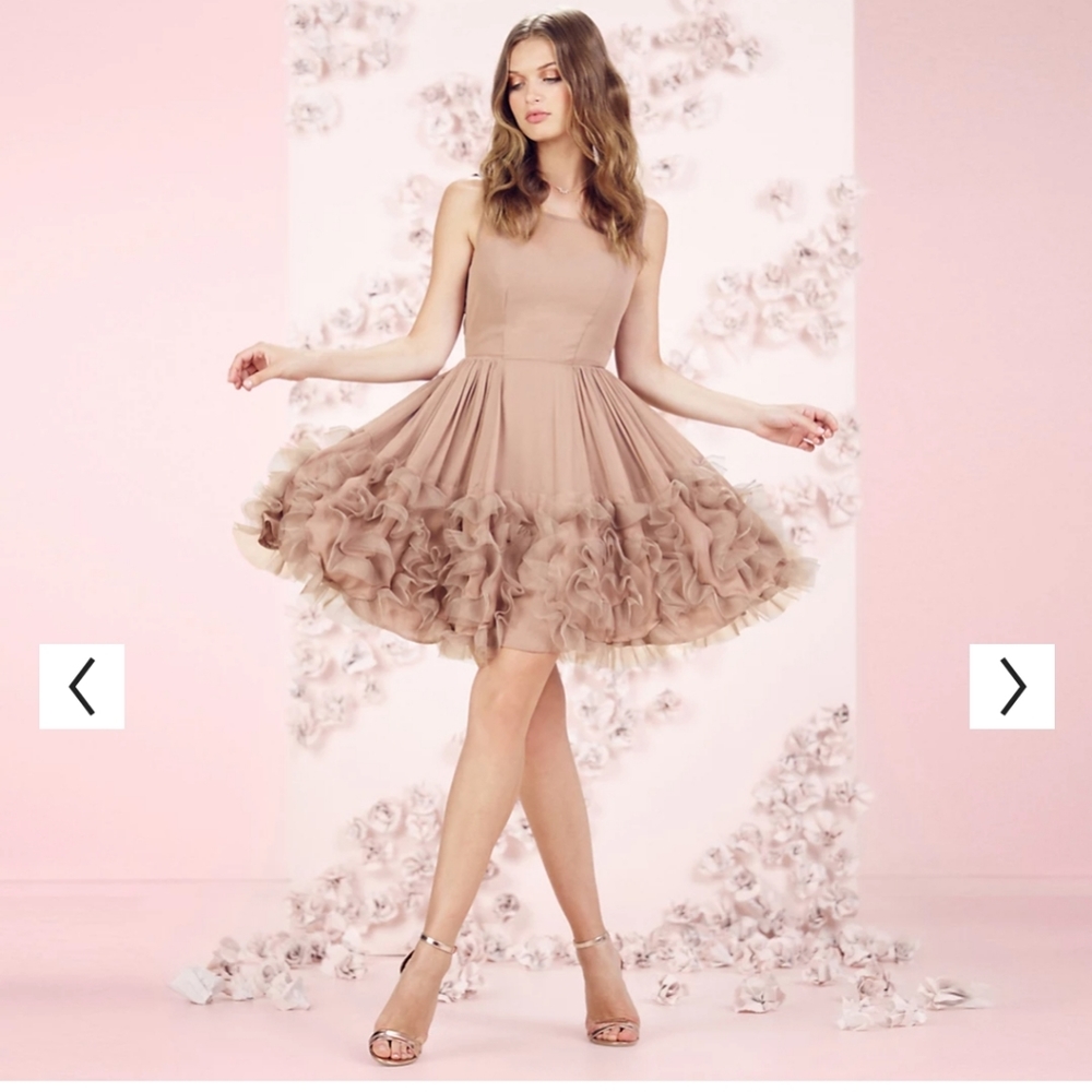 Lauren Conrad Runway Beige Ruffle Organza Flowing Dress Size 6